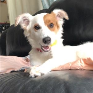 Meet your Posher, Madeline